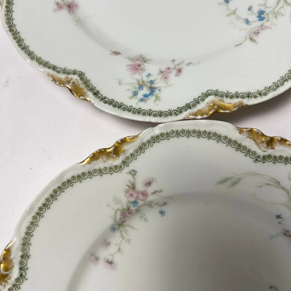 Haviland & Co. Limoges haviland co